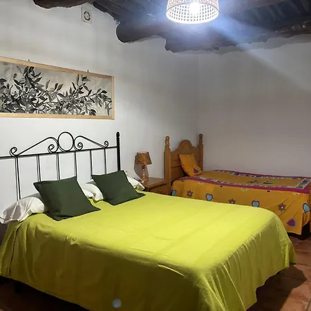 Casa M'guire *